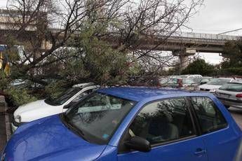 Raffiche di vento a Napoli, crolla cartello autostradale Raffiche di vento a Napoli, crolla cartello autostradale