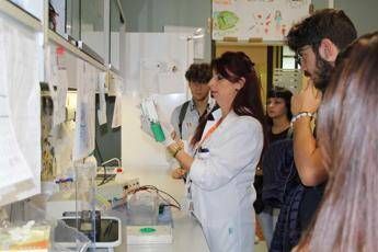 Al via a Neuromed e Polo Neurobiotech la settimana della scienza Al via a Neuromed e Polo Neurobiotech la settimana della scienza
