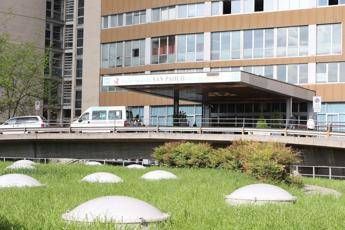 Meningite, muore insegnante a Milano. Profilassi in 9 classi Meningite, muore insegnante a Milano. Profilassi in 9 classi