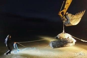 Fano, bomba trasportata in mare Fano, bomba trasportata in mare