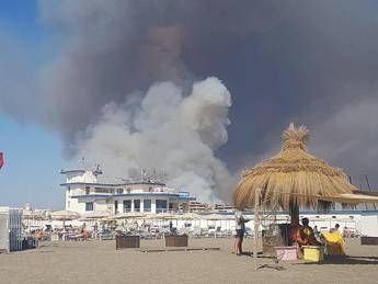 Roma, incendio in pineta a Ostia: un arresto Roma, incendio in pineta a Ostia: un arresto