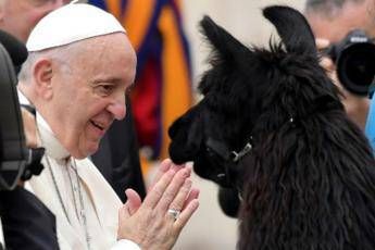 Papa saluta i pellegrini arrivati con tre lama Papa saluta i pellegrini arrivati con tre lama