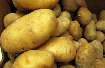 Patate germogliate, si possono mangiare? Patate germogliate, si possono mangiare?