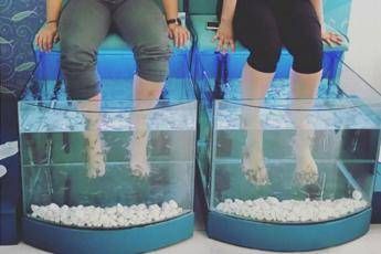 Perde unghie dopo pedicure con i pesci Perde unghie dopo pedicure con i pesci