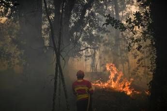 Intrappolati nel bosco in fiamme: decine di morti, anche bambini Intrappolati nel bosco in fiamme: decine di morti, anche bambini