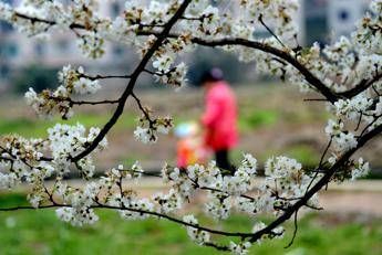 Inverno addio, oggi è l'equinozio di primavera Inverno addio, oggi è l'equinozio di primavera