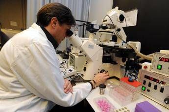 Research 4 Life, dal 2017 Italia rischia nuova fuga cervelli /Video Research 4 Life, dal 2017 Italia rischia nuova fuga cervelli /Video