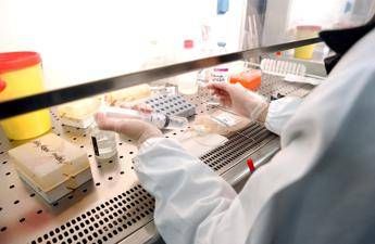 Staminali 'viagra' contro l'impotenza Staminali 'viagra' contro l'impotenza