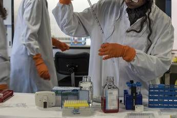 Ecco l'arma segreta del sistema immunitario Ecco l'arma segreta del sistema immunitario