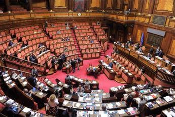 Ius soli in bilico al Senato, frenata sulla fiducia Ius soli in bilico al Senato, frenata sulla fiducia