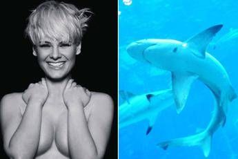 La bella e la bestia, modella nuota a pochi metri dallo squalo senza saperlo /Foto La bella e la bestia, modella nuota a pochi metri dallo squalo senza saperlo /Foto