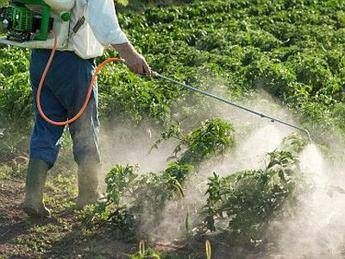 Salute, 123 agricoltori piemontesi colpiti da Sla: Guariniello indaga su pesticidi Salute, 123 agricoltori piemontesi colpiti da Sla: Guariniello indaga su pesticidi