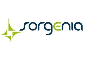 Sorgenia, utile triplicato a 44 milioni nel 2017 Sorgenia, utile triplicato a 44 milioni nel 2017