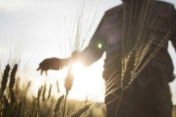 Alla scoperta dei segreti della pasta Alla scoperta dei segreti della pasta