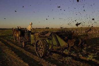 Syngenta impegnata a difesa del territorio, suolo risorsa fondamentale Syngenta impegnata a difesa del territorio, suolo risorsa fondamentale