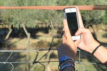 Basta cellulare e la figlia si taglia il polso Basta cellulare e la figlia si taglia il polso