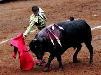 Spagna, Corte Costituzionale annulla divieto corrida in Catalogna Spagna, Corte Costituzionale annulla divieto corrida in Catalogna