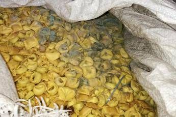 Farina scaduta e tortellini ammuffiti, sequestrate 20 tonnellate di cibo avariato Farina scaduta e tortellini ammuffiti, sequestrate 20 tonnellate di cibo avariato