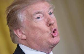 Svelato il segreto dei capelli di Trump Svelato il segreto dei capelli di Trump