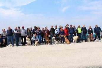 'La carica dei 500&1', primo raduno mondiale di Vespa e Fiat Cinquecento con cani a bordo /Foto 'La carica dei 500&1', primo raduno mondiale di Vespa e Fiat Cinquecento con cani a bordo /Foto