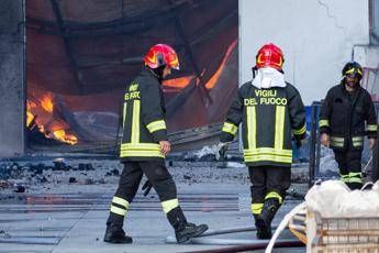 Strage di gatti a Milano, va a fuoco il rifugio: 100 mici morti Strage di gatti a Milano, va a fuoco il rifugio: 100 mici morti