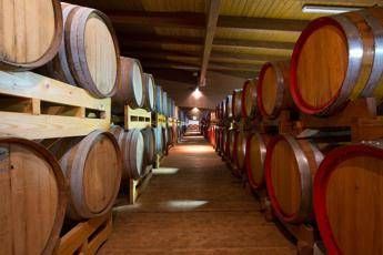Promozione su mercati esteri per aceto balsamico Modena Promozione su mercati esteri per aceto balsamico Modena