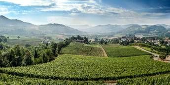 Per Alta Langa Docg si chiude un 2017 fra eventi e sostenibilità Per Alta Langa Docg si chiude un 2017 fra eventi e sostenibilità