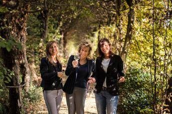 Cantina Bortolomiol chiude 2017 con oltre 14 milioni di fatturato Cantina Bortolomiol chiude 2017 con oltre 14 milioni di fatturato