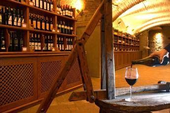 'Emilia Romagna a tutto campo', calcio aiuta promozione vino 'Emilia Romagna a tutto campo', calcio aiuta promozione vino