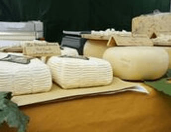 Con il Salone del prodotto tipico parte da Roma il viaggio del gusto Con il Salone del prodotto tipico parte da Roma il viaggio del gusto