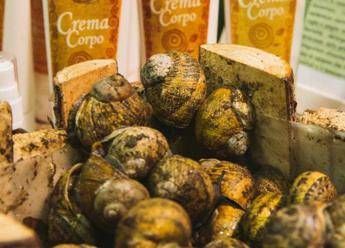 Fra cibo e bio le nuove frontiere della cosmesi a Cosmofood Fra cibo e bio le nuove frontiere della cosmesi a Cosmofood