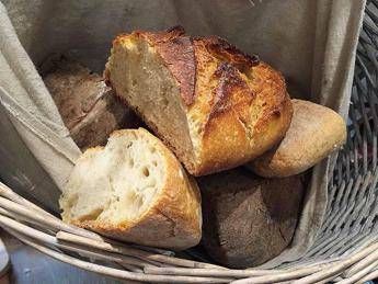 A Roma fra pane e pizza la passione per l''arte bianca' diventa ricerca A Roma fra pane e pizza la passione per l''arte bianca' diventa ricerca