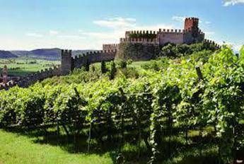 Da Montefalco il 'modello Sagrantino' per vigneto sostenibile e tech Da Montefalco il 'modello Sagrantino' per vigneto sostenibile e tech