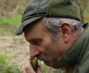 Associazione Città del tartufo, tradizione culturale diventi patrimonio collettivo Associazione Città del tartufo, tradizione culturale diventi patrimonio collettivo