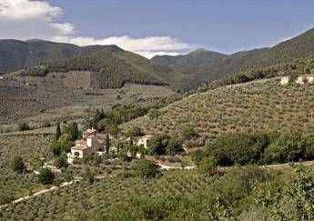 Umbria: anche la strada dell’olio Dop si mette in moto per accogliere bikers Umbria: anche la strada dell’olio Dop si mette in moto per accogliere bikers