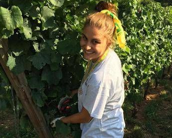 Factorympresa Turismo, al via call per 'Food&Wine Tourism' Factorympresa Turismo, al via call per 'Food&Wine Tourism'