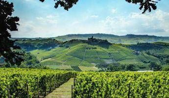 Al via Grandi Langhe Docg, palcoscenico per l'eccellenza piemontese Al via Grandi Langhe Docg, palcoscenico per l'eccellenza piemontese