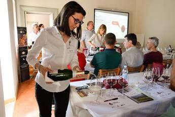Con Strada del Barolo e Collisioni progetto di Food & Wine Experience Con Strada del Barolo e Collisioni progetto di Food & Wine Experience