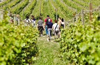 Sempre più 'food traveller' in cerca di esperienze Sempre più 'food traveller' in cerca di esperienze