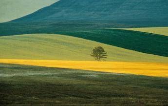 Il Campigna 2017 a dipinti fotografici di Franco Fontana Il Campigna 2017 a dipinti fotografici di Franco Fontana