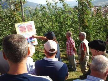 Inac-Anp-Cia: per agricoltori assegni da fame, 294 euro al mese Inac-Anp-Cia: per agricoltori assegni da fame, 294 euro al mese