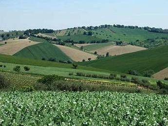 Lazio: bando per nuovi insediamenti agricoli a fine mese Lazio: bando per nuovi insediamenti agricoli a fine mese