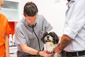 Con Ca’ Zampa, piattaforma tecnologica diventa clinica veterinaria Con Ca’ Zampa, piattaforma tecnologica diventa clinica veterinaria