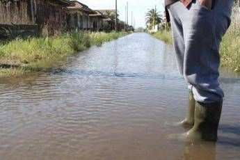 Coldiretti: su Genova bomba d’acqua dopo -82% pioggia Coldiretti: su Genova bomba d’acqua dopo -82% pioggia