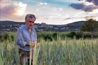 Transumanza: sulle antiche vie dei pastori alla scoperta dei prodotti tipici Transumanza: sulle antiche vie dei pastori alla scoperta dei prodotti tipici