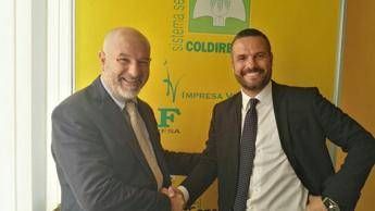 Coldiretti Roma, cambia la direzione da Oristano arriva Giuseppe Casu Coldiretti Roma, cambia la direzione da Oristano arriva Giuseppe Casu