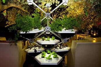 A Milano arriva Living Farming Tree, orto urbano indoor sostenibile A Milano arriva Living Farming Tree, orto urbano indoor sostenibile