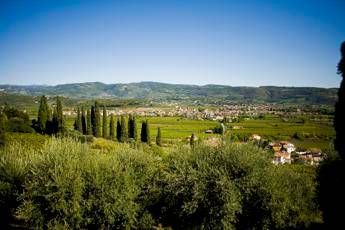 Cia: l'Italia riparte dalla terra, futuro è nei giovani agricoltori Cia: l'Italia riparte dalla terra, futuro è nei giovani agricoltori