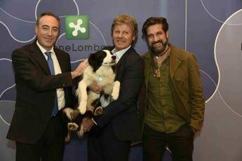Ospedali aperti agli animali: arriva lo spot Ospedali aperti agli animali: arriva lo spot