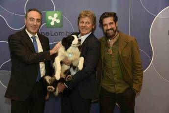 Ospedali aperti agli animali: arriva lo spot